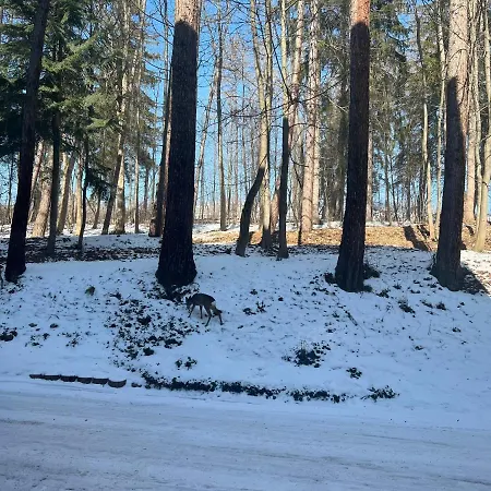 Nauczycielskie Centrum * Zakopane