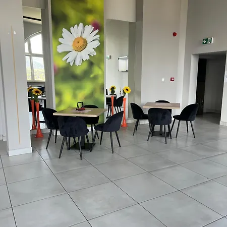 Bed & Breakfast Nauczycielskie Centrum Zakopane